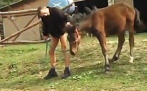 kouření,bestiální videa