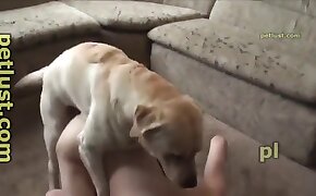 porno per cani,sesso a cavallo