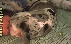 dog porn,zoo fuck porn