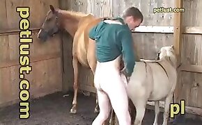 animal porn,zoo fuck porn