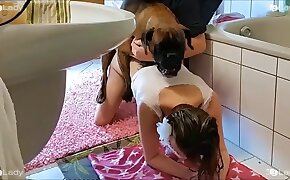 animal porn,zoo fuck porn