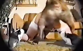 blowjob,redhead