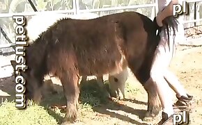 animal porn,zoo fuck porn