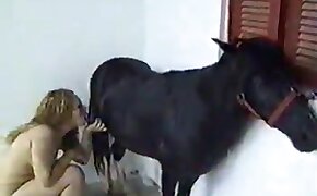 sesso a cavallo,sesso con animale