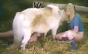 horse sex,sex with animal