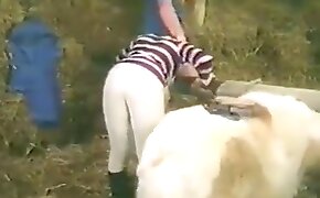 horse sex,sex with animal