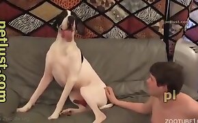 dog porn,sex with animal