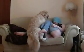 sex with animal,woman and animal