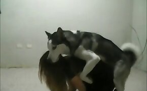 dog porn,girls fuck animals