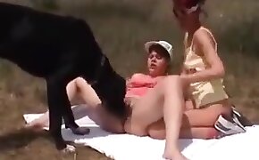 porno per cani,sesso con animale