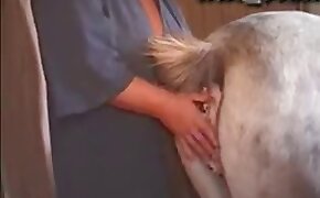 pony,sex med dyr