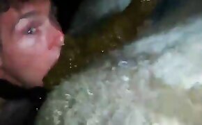 sex with animal,animal porn