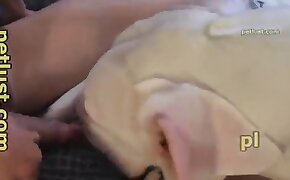 sesso con animale,video porno dello zoo