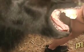 zoo porn videos,bestiality porn