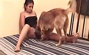 cunnilingus,porno de chien