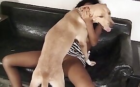 dog porn,sex with animal