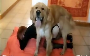 dog porn,zoo fuck porn