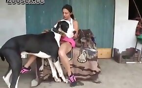 狗色情,女孩他妈的动物