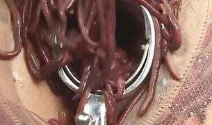 βίντεο σεξ με τον ζωολογικό κήπο