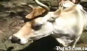 zoofilia