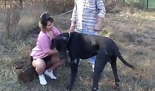 حیوانیت فحش