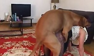 dog porn