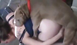 animal fucks girl