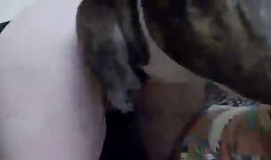 eläimellisyyden leikkeet