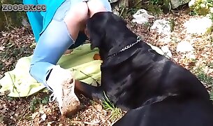 seks ze zwierzętami