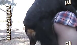 farm zoophilia