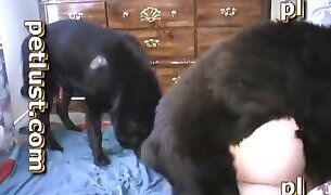 hardcore bestiality