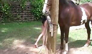 animal fucks girl