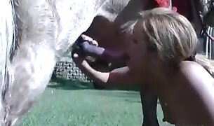 horse porn