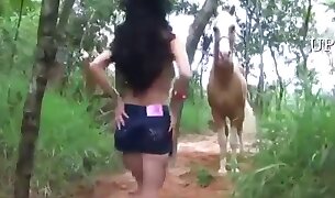 horse porn