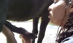 horse porn