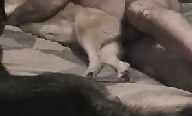dog animal sex, video with zoofilia