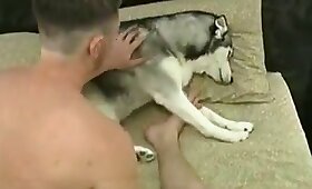 cachorro sexo animal, pornô foda animal