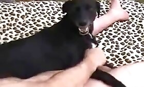 free animal porn, zoo fucking videos
