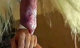 hunde dyresex, beastiality filmer