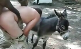اللعنة الحصان الإباحية, حمار