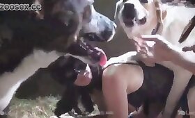 zoo fuck porn, dog animal sex