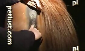 videó zoofíliával, farmer fasz állat