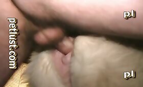 الفرس مع الرجل, أفلام الوحشية