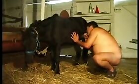 zoo fuck porn, horse fuck porn