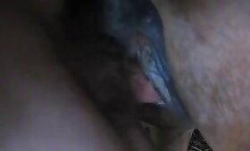 mare with man, close up zoophilia videos