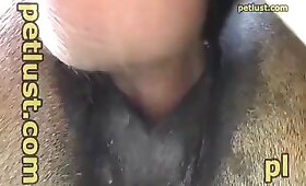 男は動物をファック, 馬の性交ポルノ