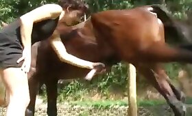 horse fuck porn, zoo fucking videos