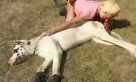 horse fuck porn, dog animal sex