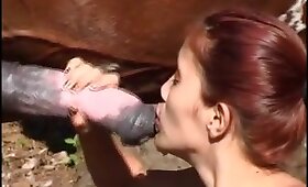 animal fuck porn, woman and animal