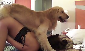 zoophilia fuck, dog animal sex
